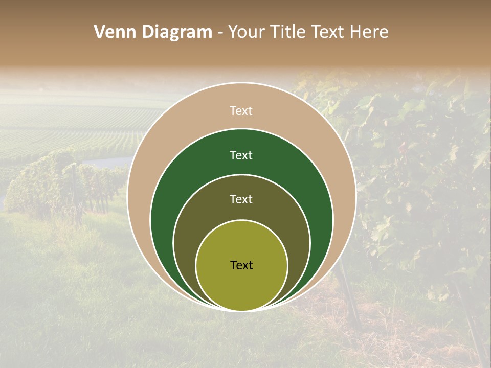 Countryside Landscape Winery PowerPoint Template