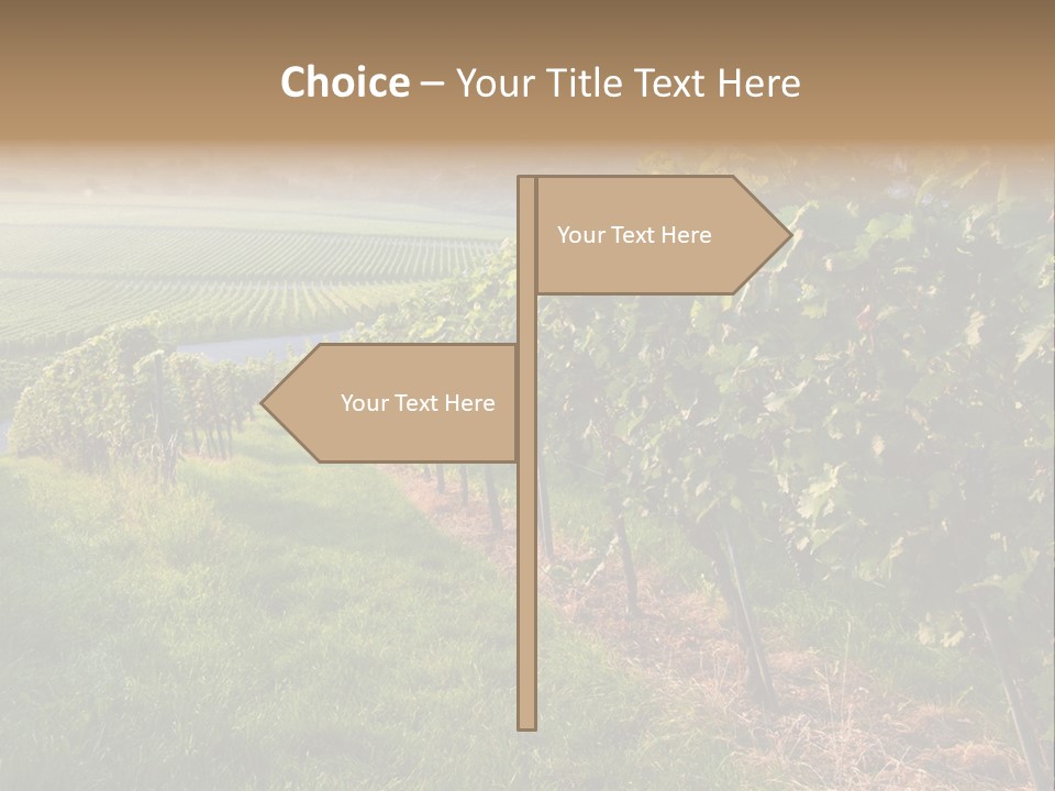 Countryside Landscape Winery PowerPoint Template