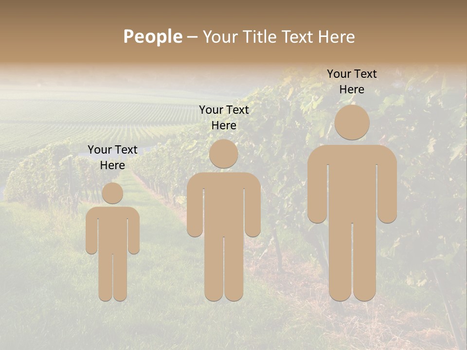 Countryside Landscape Winery PowerPoint Template