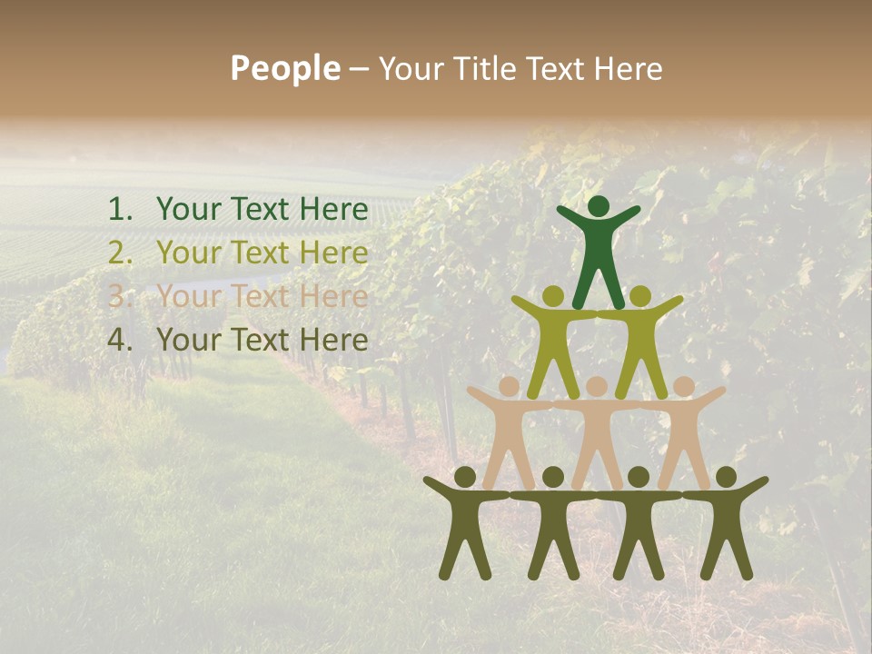 Countryside Landscape Winery PowerPoint Template