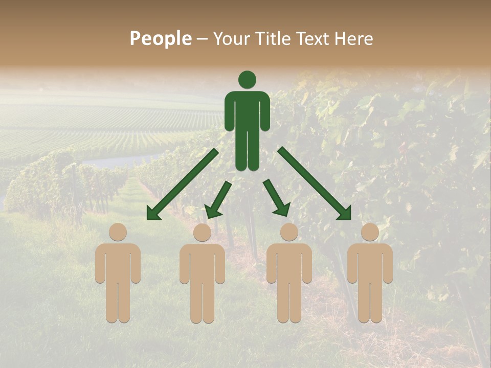 Countryside Landscape Winery PowerPoint Template