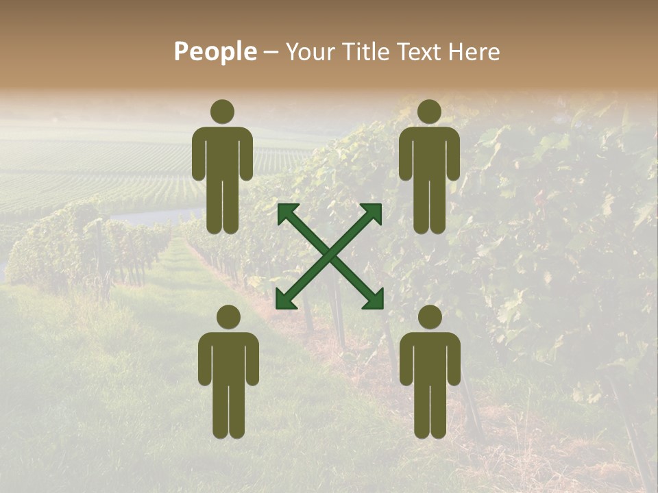 Countryside Landscape Winery PowerPoint Template