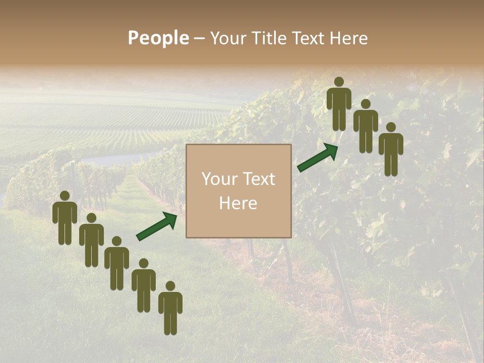 Countryside Landscape Winery PowerPoint Template