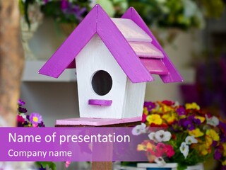 Pink Birdhouse Fun PowerPoint Template