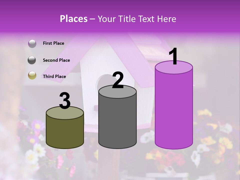 Pink Birdhouse Fun PowerPoint Template