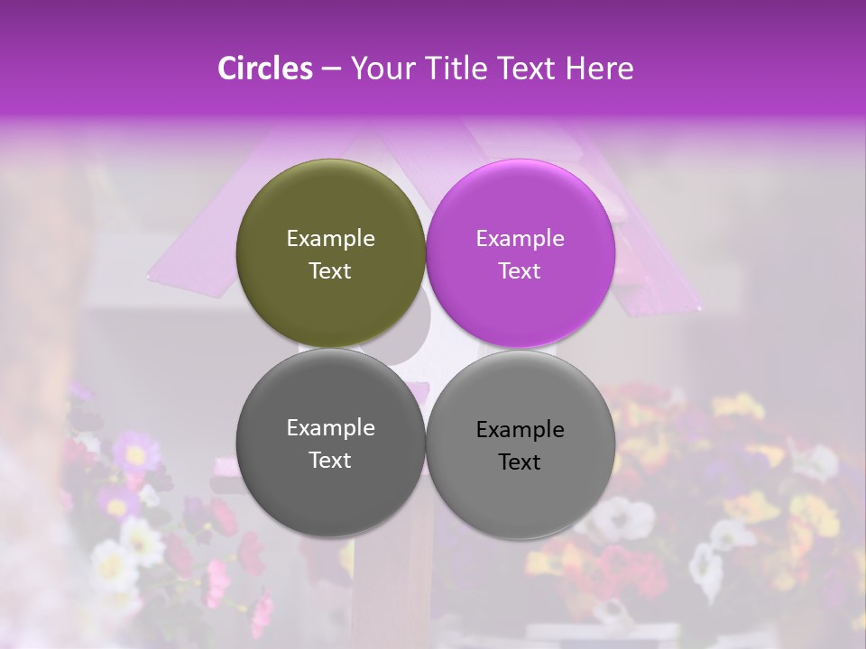 Pink Birdhouse Fun PowerPoint Template