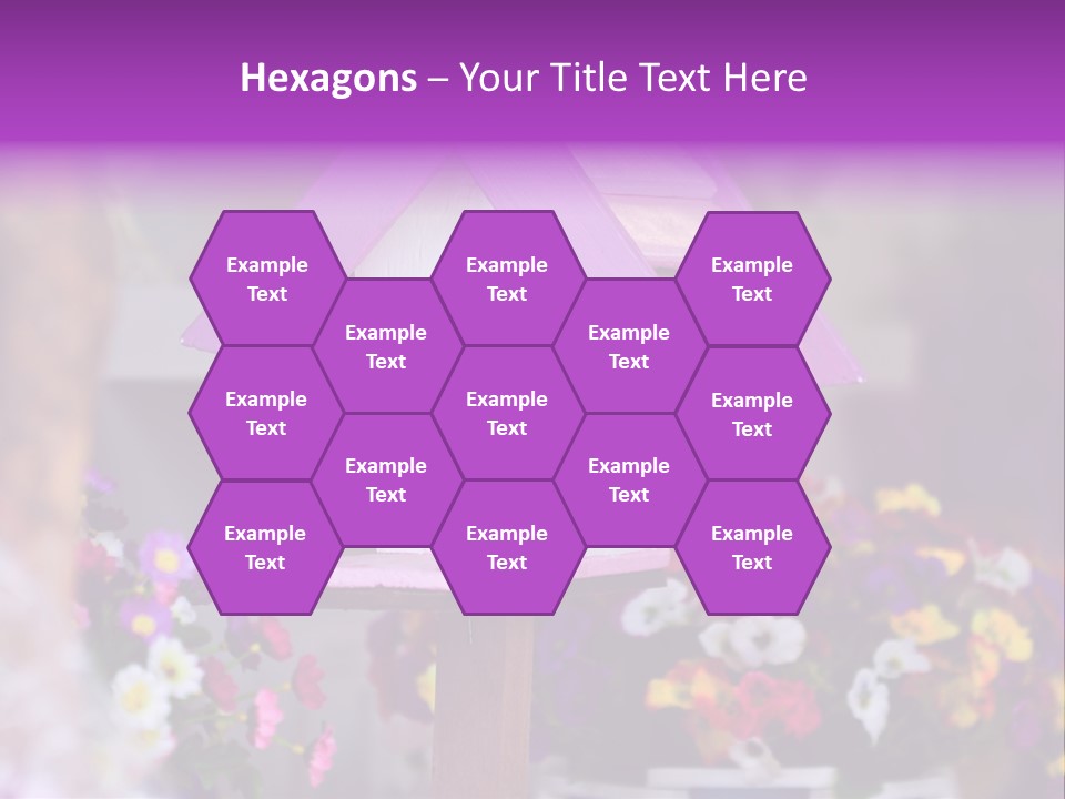 Pink Birdhouse Fun PowerPoint Template