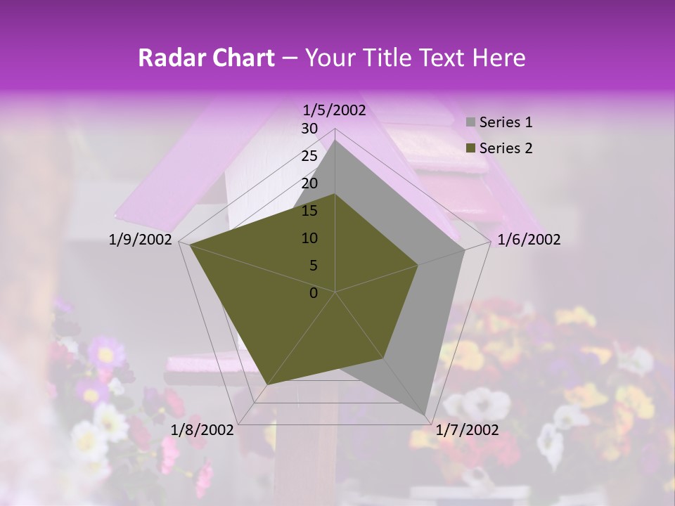 Pink Birdhouse Fun PowerPoint Template