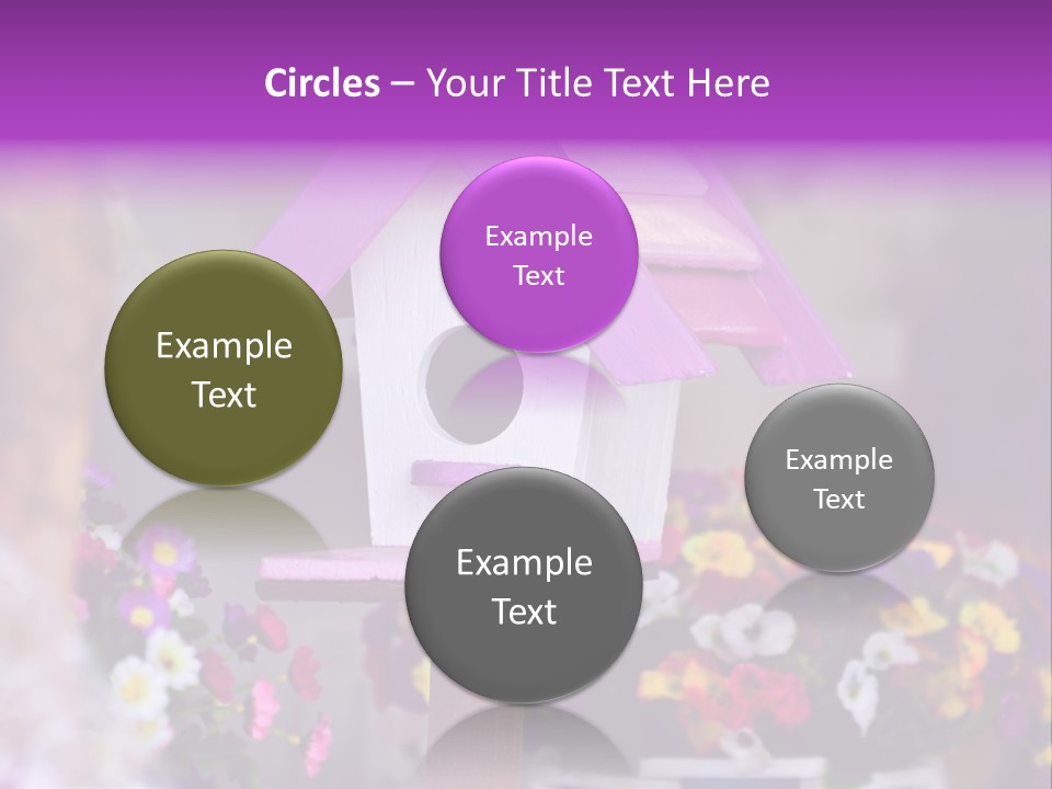 Pink Birdhouse Fun PowerPoint Template