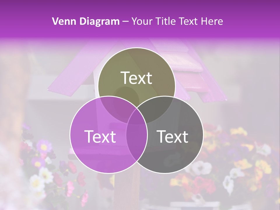 Pink Birdhouse Fun PowerPoint Template