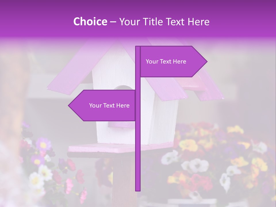 Pink Birdhouse Fun PowerPoint Template