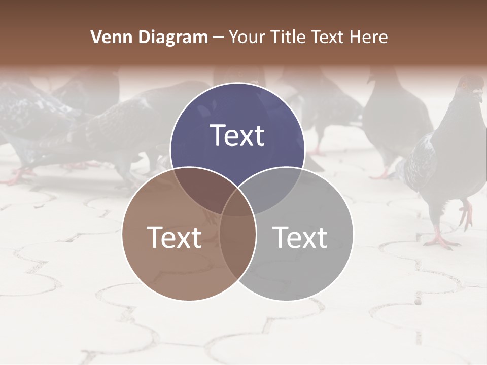 Nature Food Walking PowerPoint Template