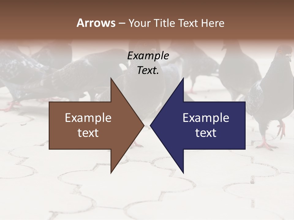 Nature Food Walking PowerPoint Template