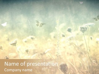 Season Park Nature PowerPoint Template