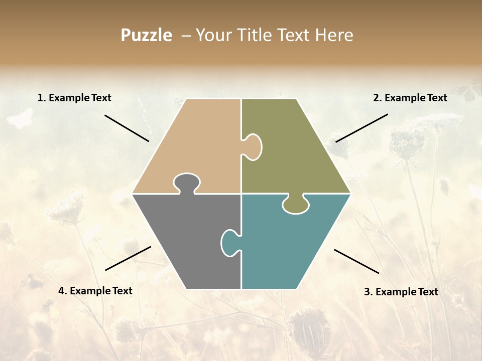 Season Park Nature PowerPoint Template