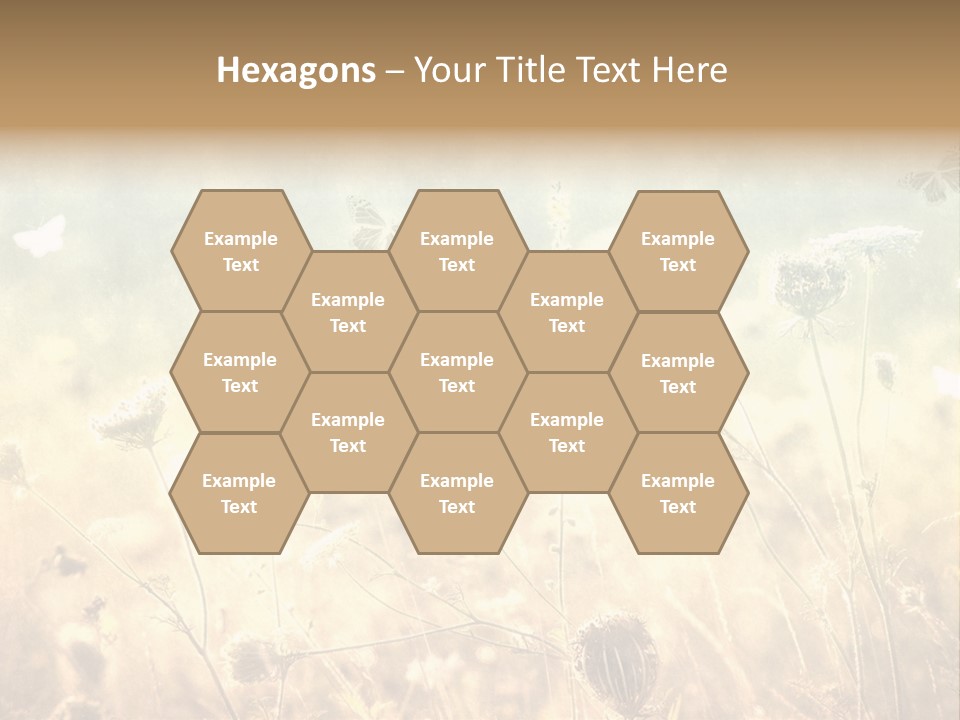 Season Park Nature PowerPoint Template