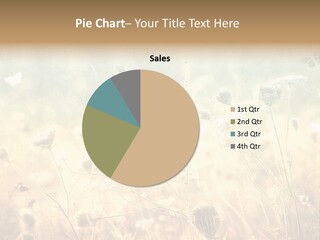 Season Park Nature PowerPoint Template