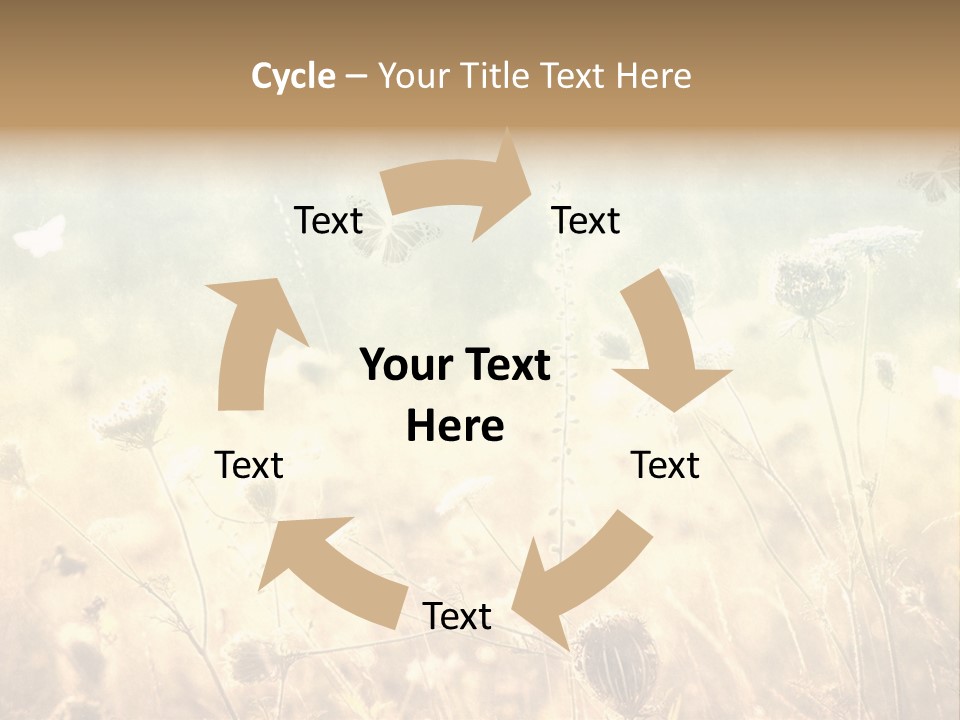 Season Park Nature PowerPoint Template