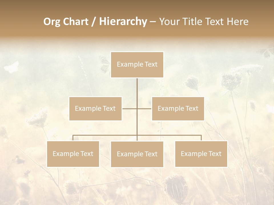 Season Park Nature PowerPoint Template