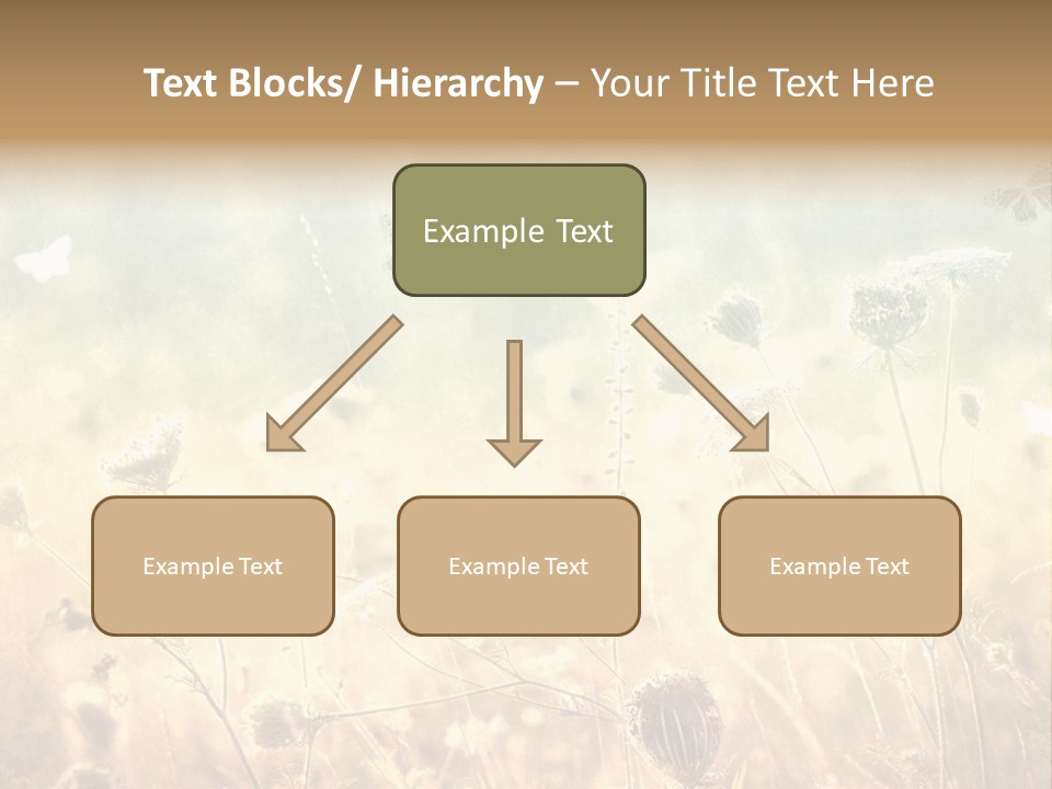 Season Park Nature PowerPoint Template