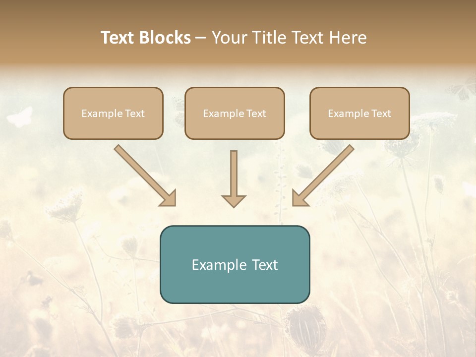 Season Park Nature PowerPoint Template
