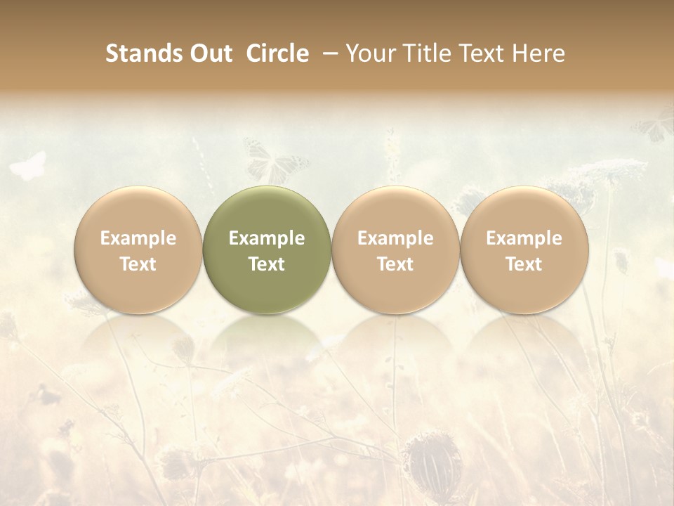 Season Park Nature PowerPoint Template