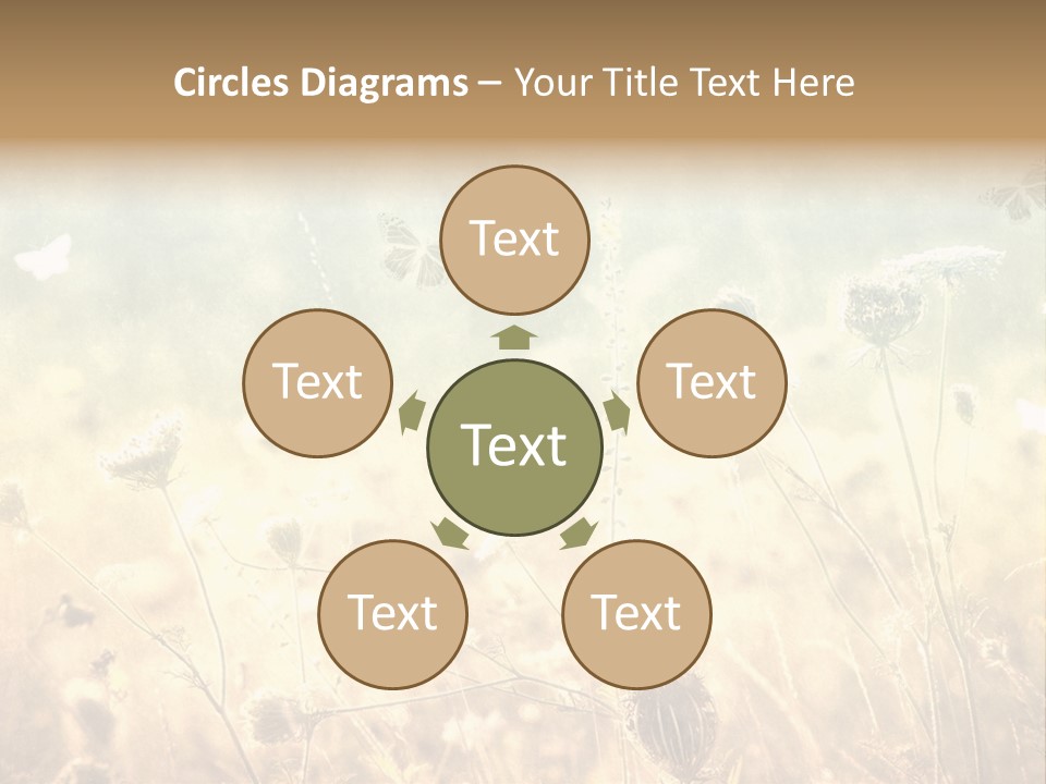 Season Park Nature PowerPoint Template