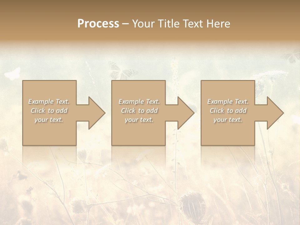 Season Park Nature PowerPoint Template