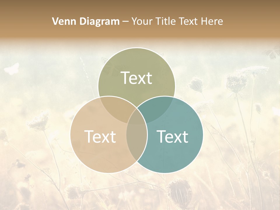 Season Park Nature PowerPoint Template