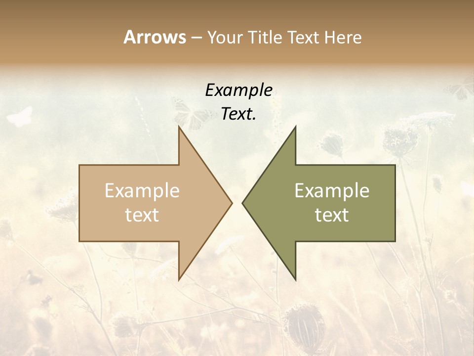 Season Park Nature PowerPoint Template