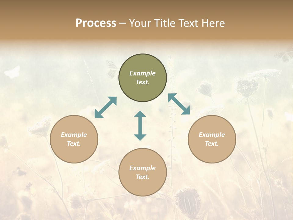 Season Park Nature PowerPoint Template