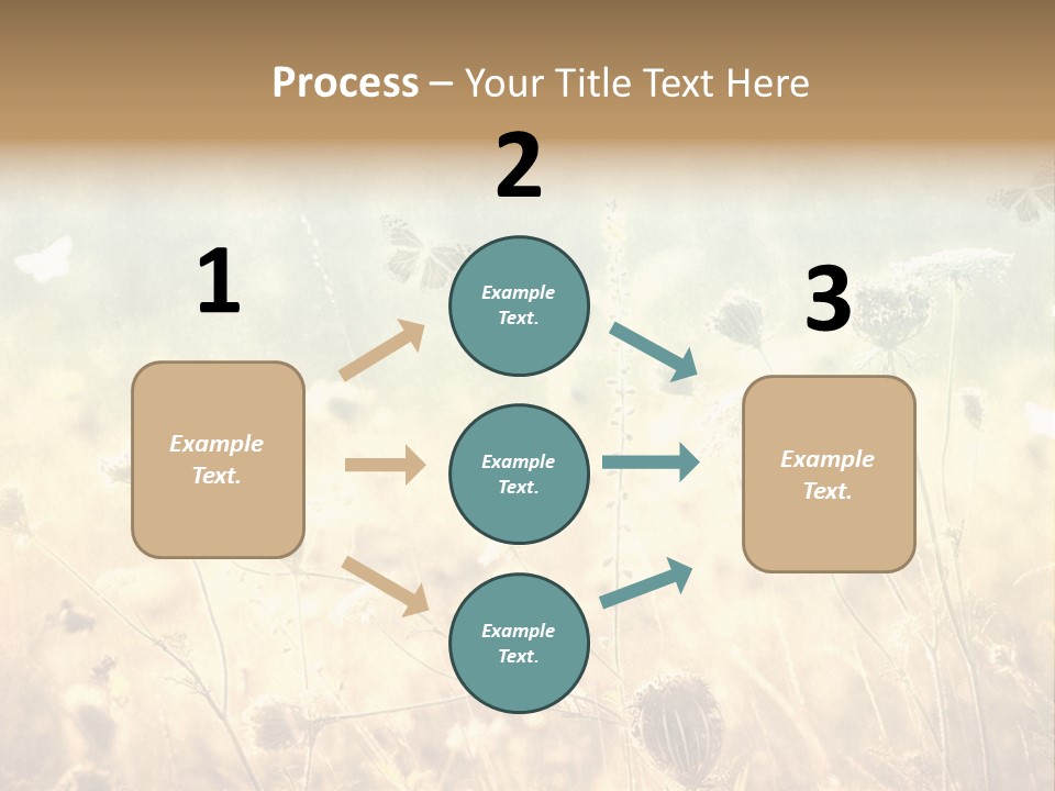 Season Park Nature PowerPoint Template