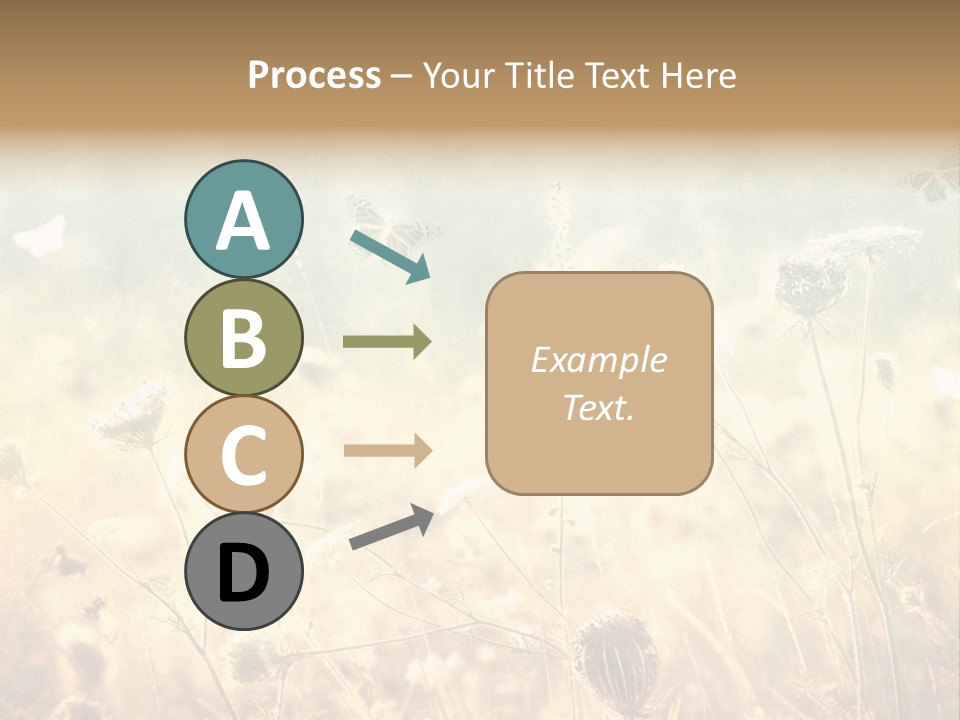 Season Park Nature PowerPoint Template