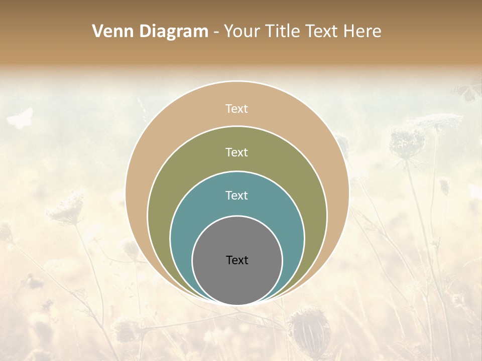 Season Park Nature PowerPoint Template