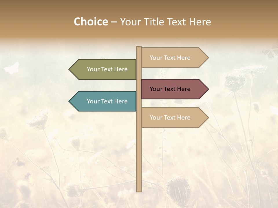 Season Park Nature PowerPoint Template