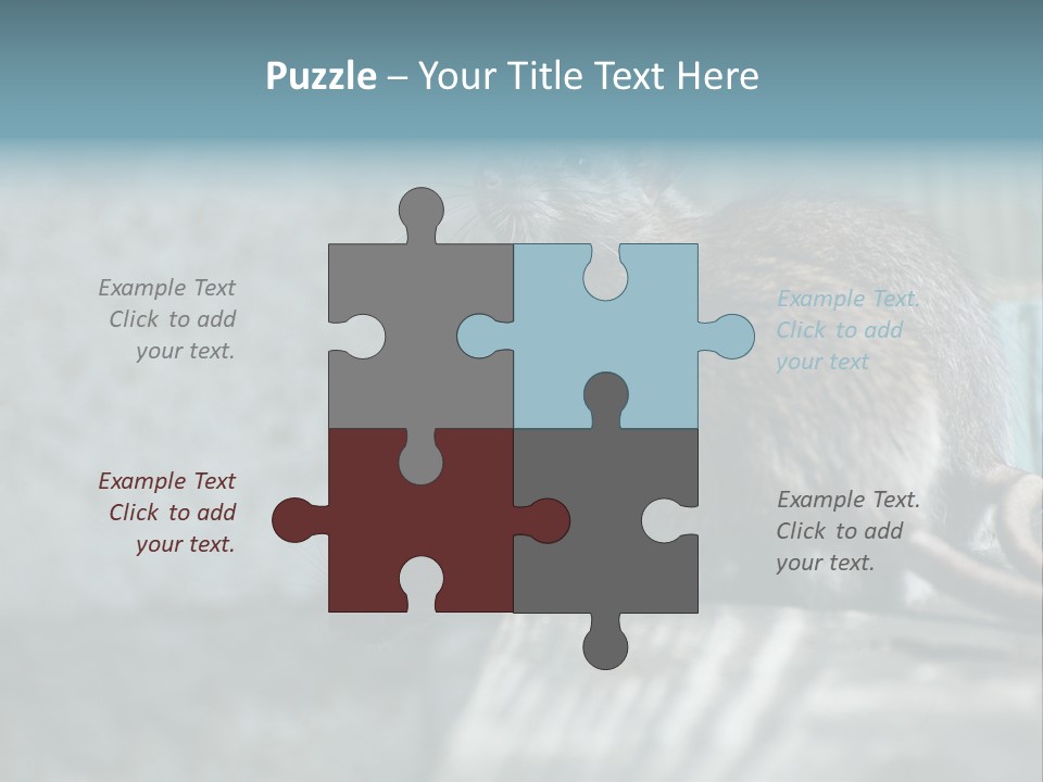 Cats And Dogs Asia Rat Terrier PowerPoint Template