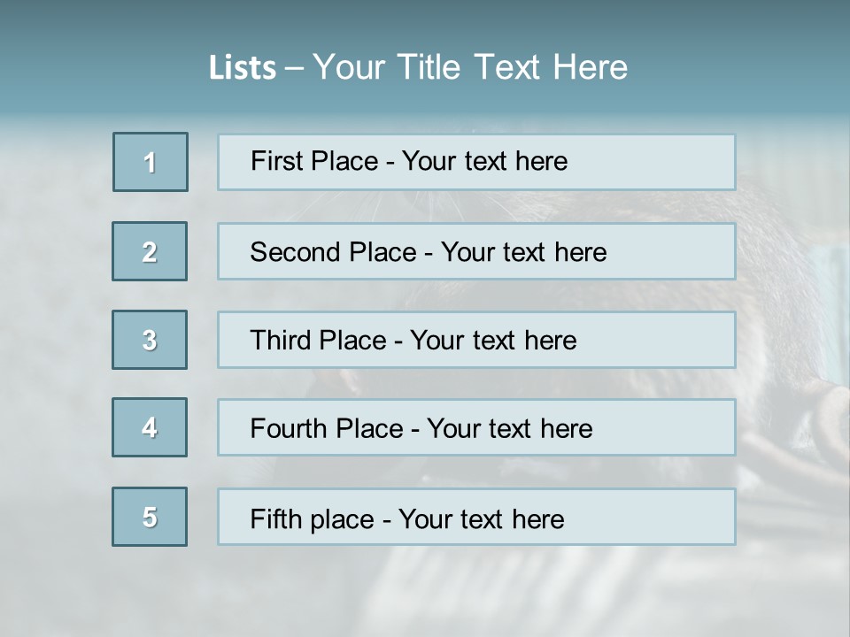 Cats And Dogs Asia Rat Terrier PowerPoint Template