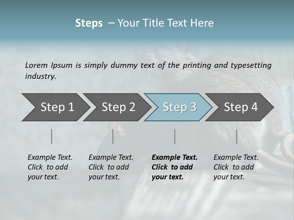 Cats And Dogs Asia Rat Terrier PowerPoint Template