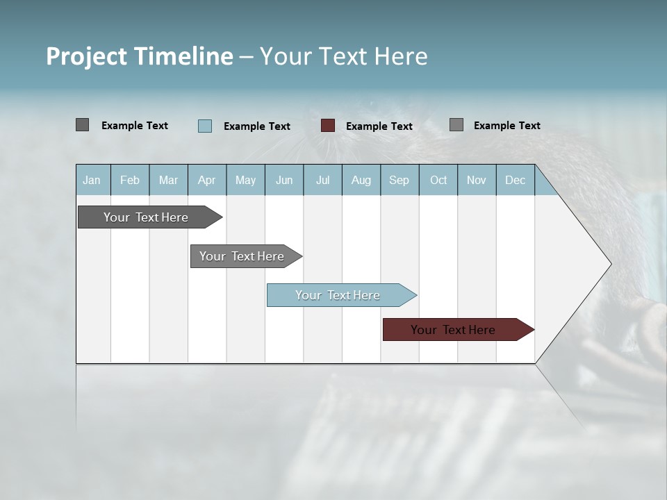 Cats And Dogs Asia Rat Terrier PowerPoint Template