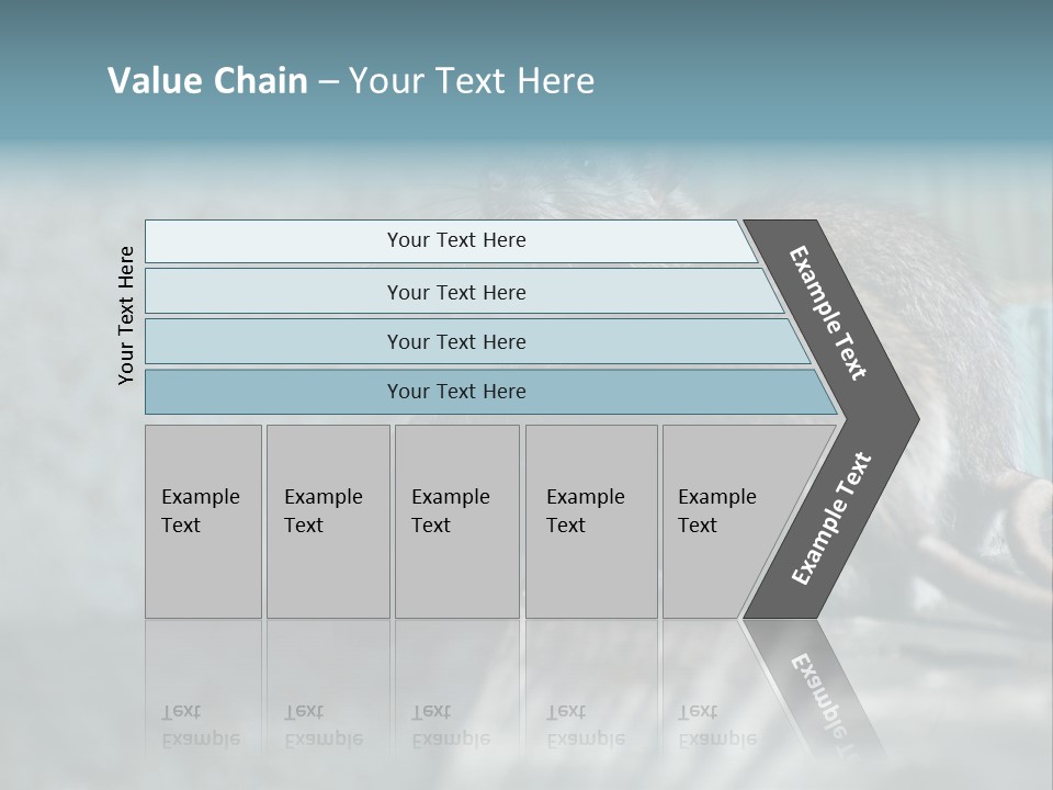 Cats And Dogs Asia Rat Terrier PowerPoint Template