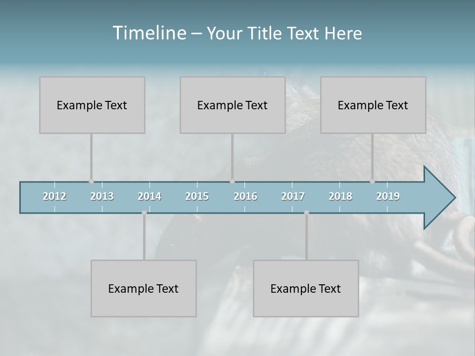 Cats And Dogs Asia Rat Terrier PowerPoint Template