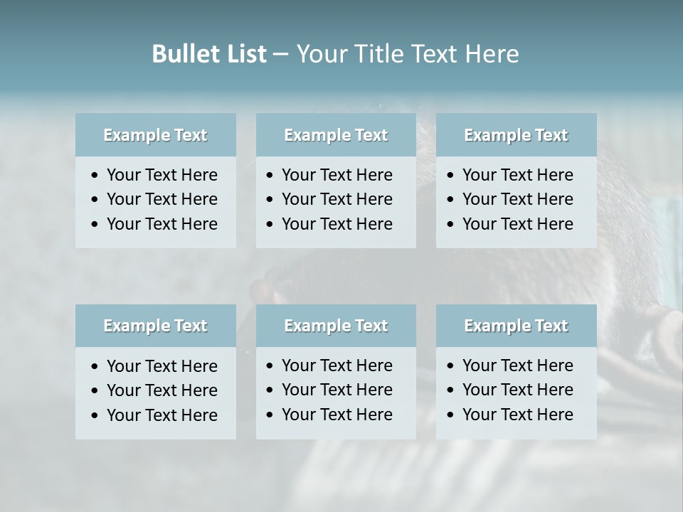 Cats And Dogs Asia Rat Terrier PowerPoint Template