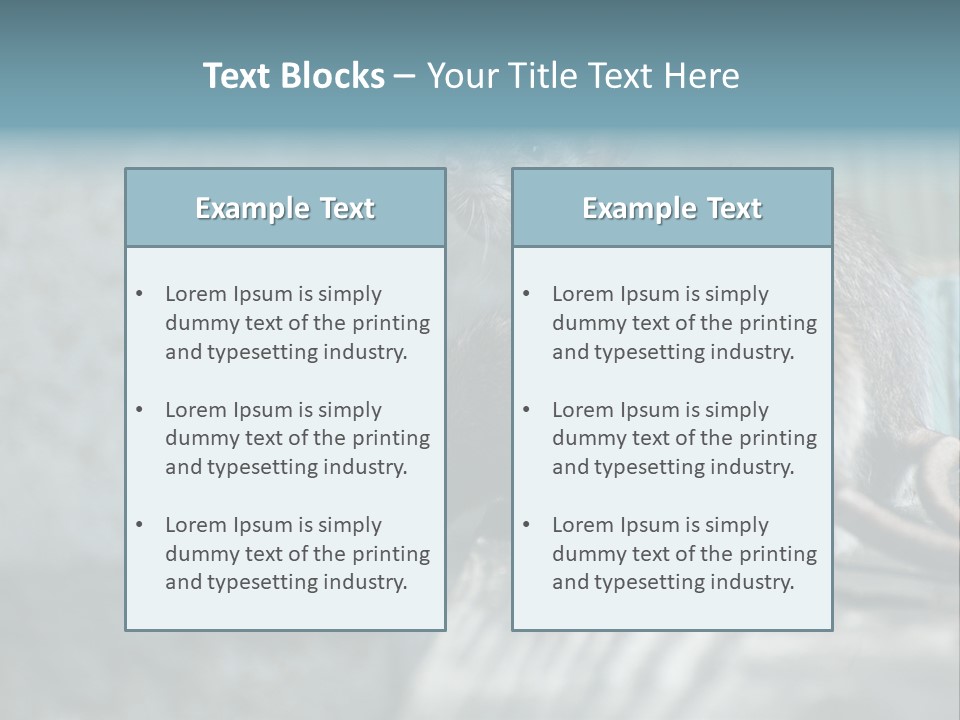 Cats And Dogs Asia Rat Terrier PowerPoint Template