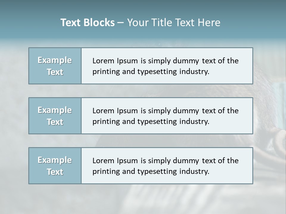 Cats And Dogs Asia Rat Terrier PowerPoint Template