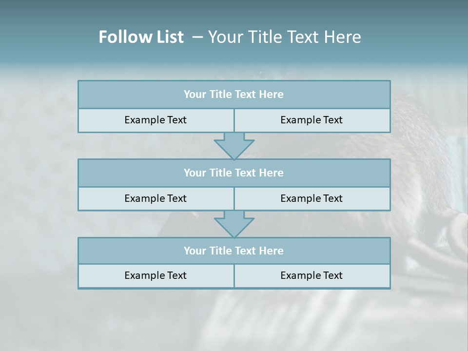 Cats And Dogs Asia Rat Terrier PowerPoint Template