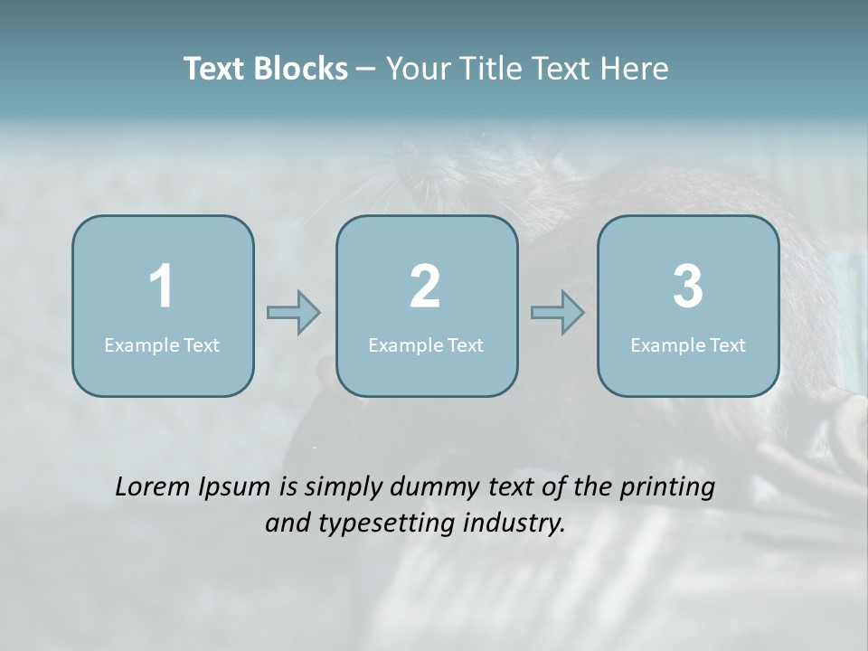 Cats And Dogs Asia Rat Terrier PowerPoint Template