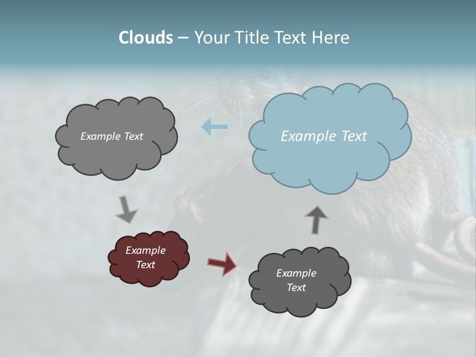 Cats And Dogs Asia Rat Terrier PowerPoint Template