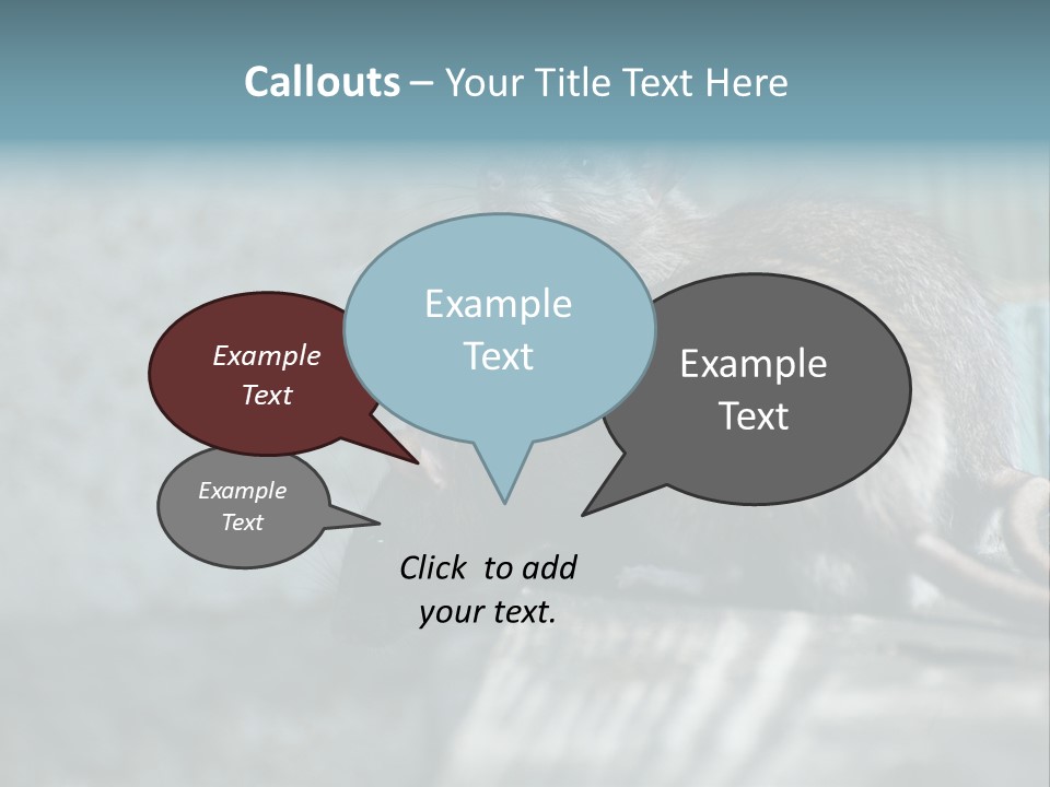 Cats And Dogs Asia Rat Terrier PowerPoint Template