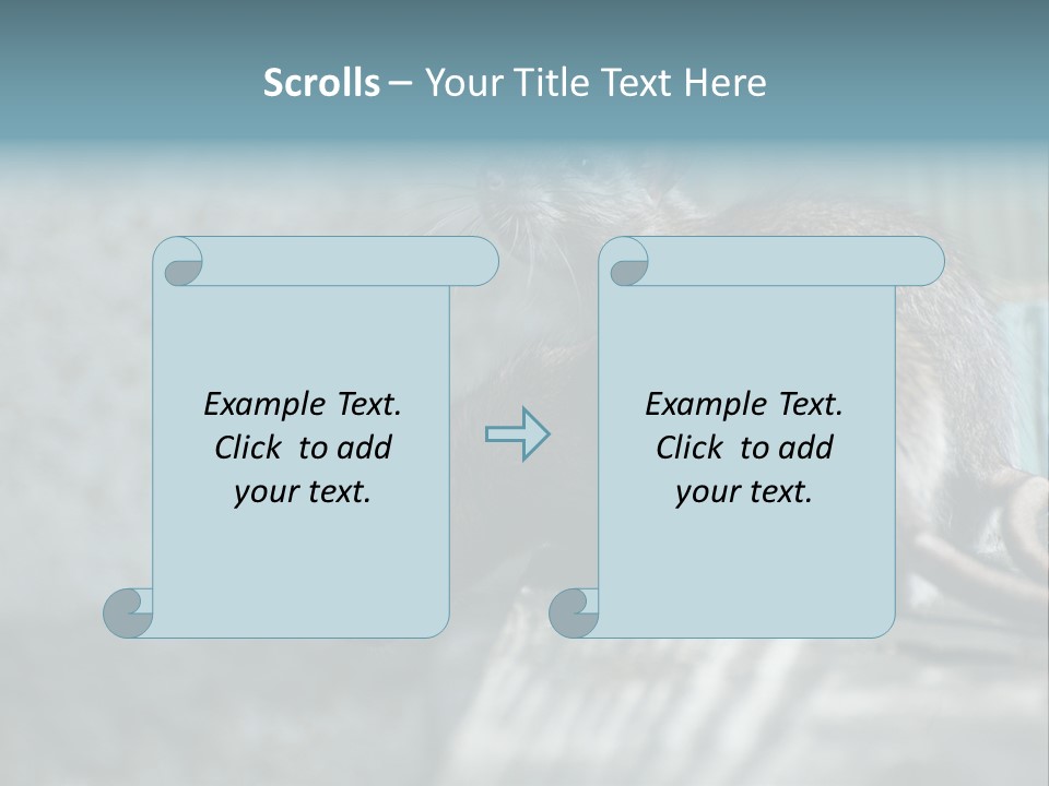 Cats And Dogs Asia Rat Terrier PowerPoint Template