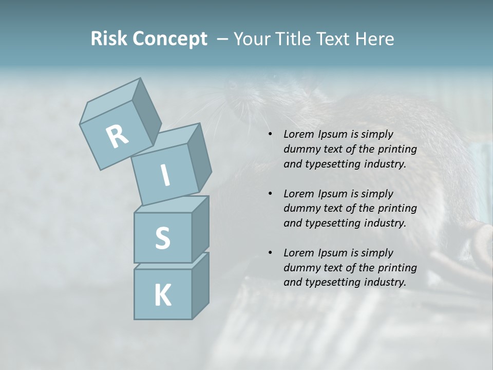 Cats And Dogs Asia Rat Terrier PowerPoint Template